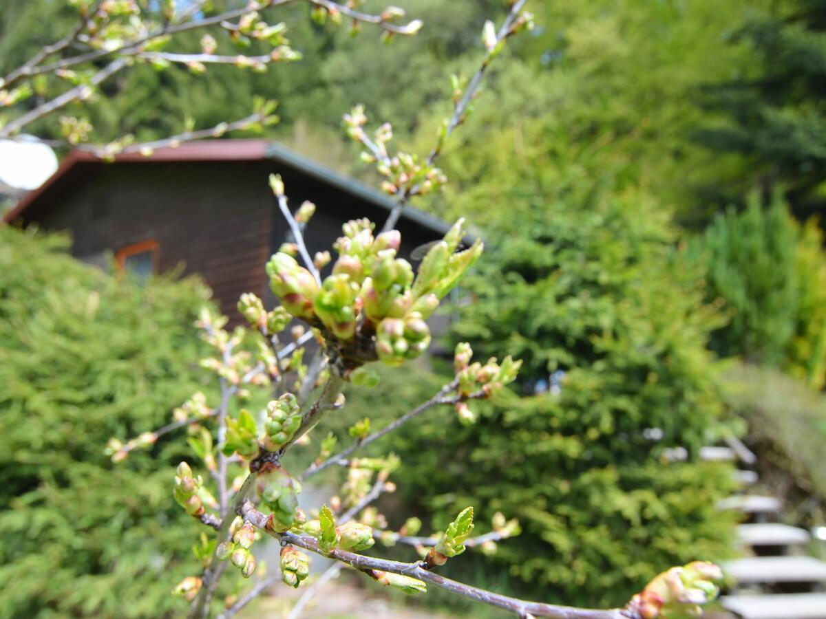 Holiday Home With Terrace Stadlern Екстериор снимка